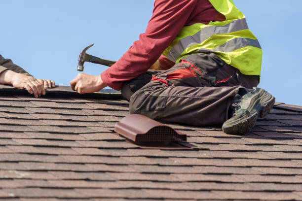Best Local Roofing Companies  in Blue Earth, MN