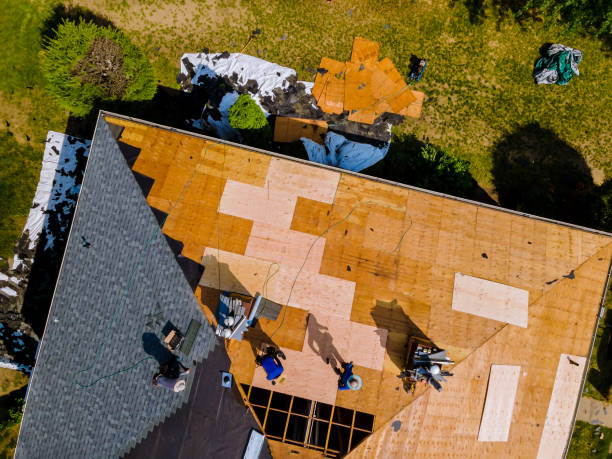 Best Flat Roof Repair Services  in Blue Earth, MN
