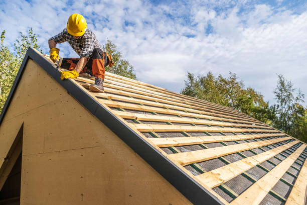 Best Roof Leak Repair  in Blue Earth, MN
