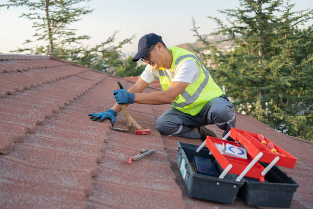 Professional Roofing Contractor in Blue Earth, MN