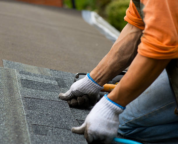 Best Residential Roofing Contractor  in Blue Earth, MN