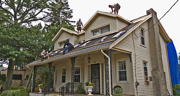 Best Best Roofing Contractors  in Blue Earth, MN