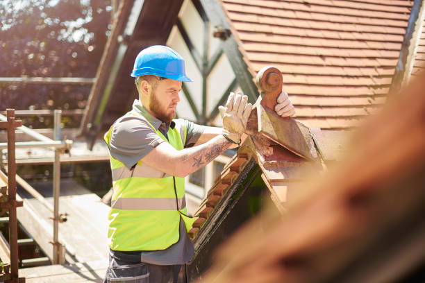 Best Best Roofing Contractors  in Blue Earth, MN