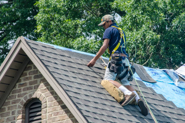 Best Shingle Roofing Installation  in Blue Earth, MN